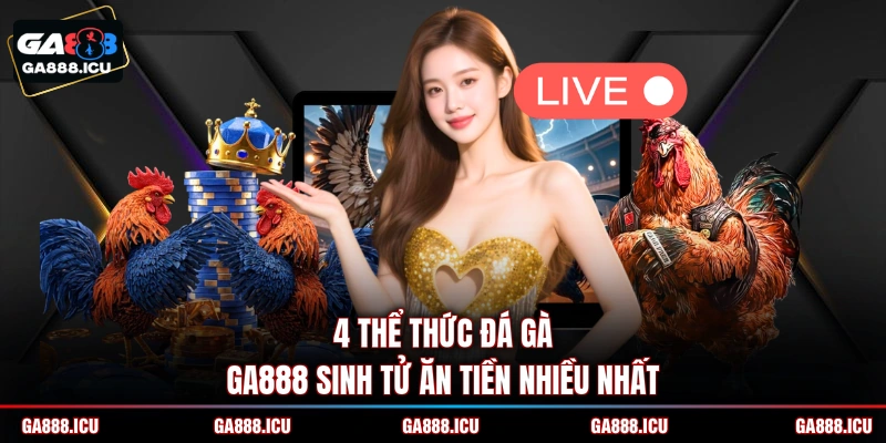 4 thể thức đá gà GA888 sinh tử ăn tiền nhiều nhất 